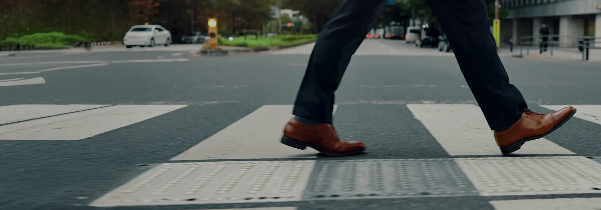 Due Diligence & Background Intelligence